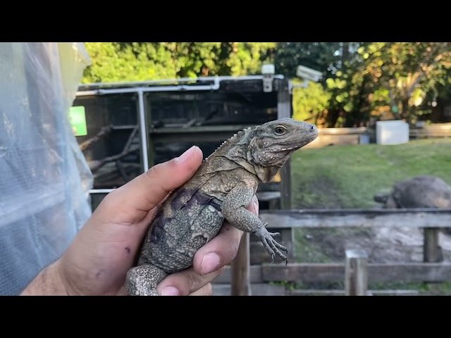 8E8B7B42-5381-4E29-91D0-32A680A9C4B5