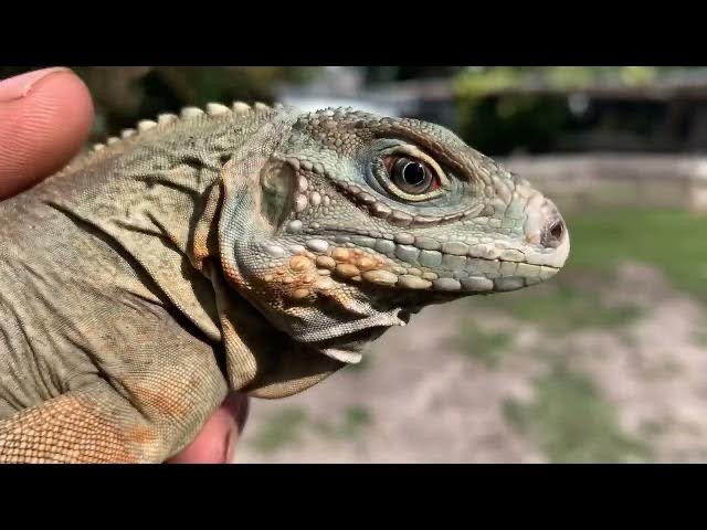 D936FDD7-10B2-4B81-AC8D-843FD2BED492